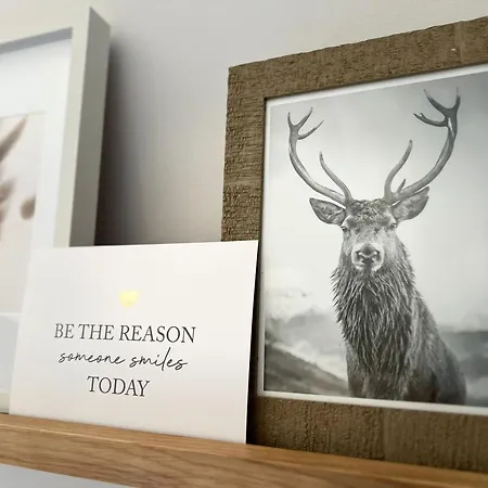 Strandglueck 青斯特